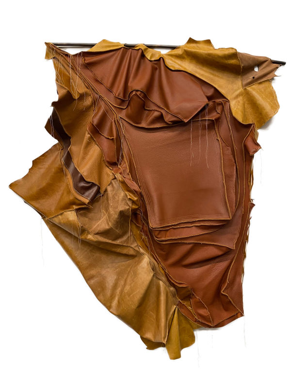 Esteban Ramón Pérez, Burning Bush, 2020