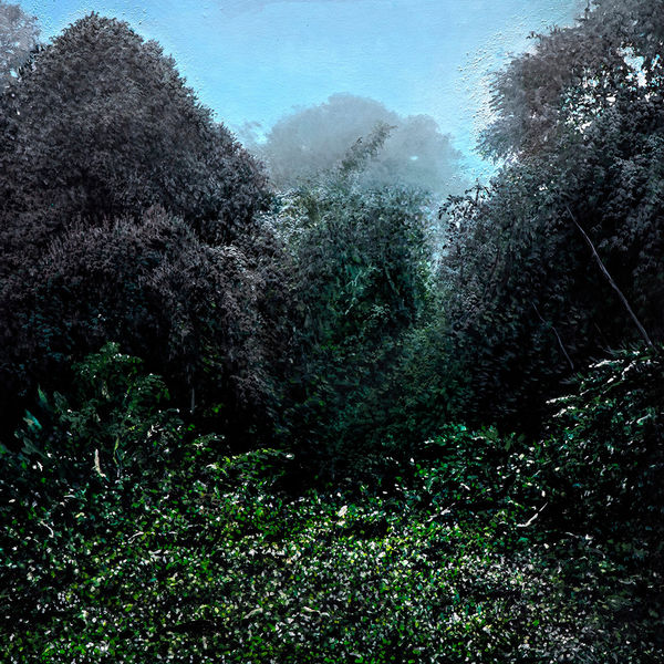 QUESTION OF OWNERSHIP, THE