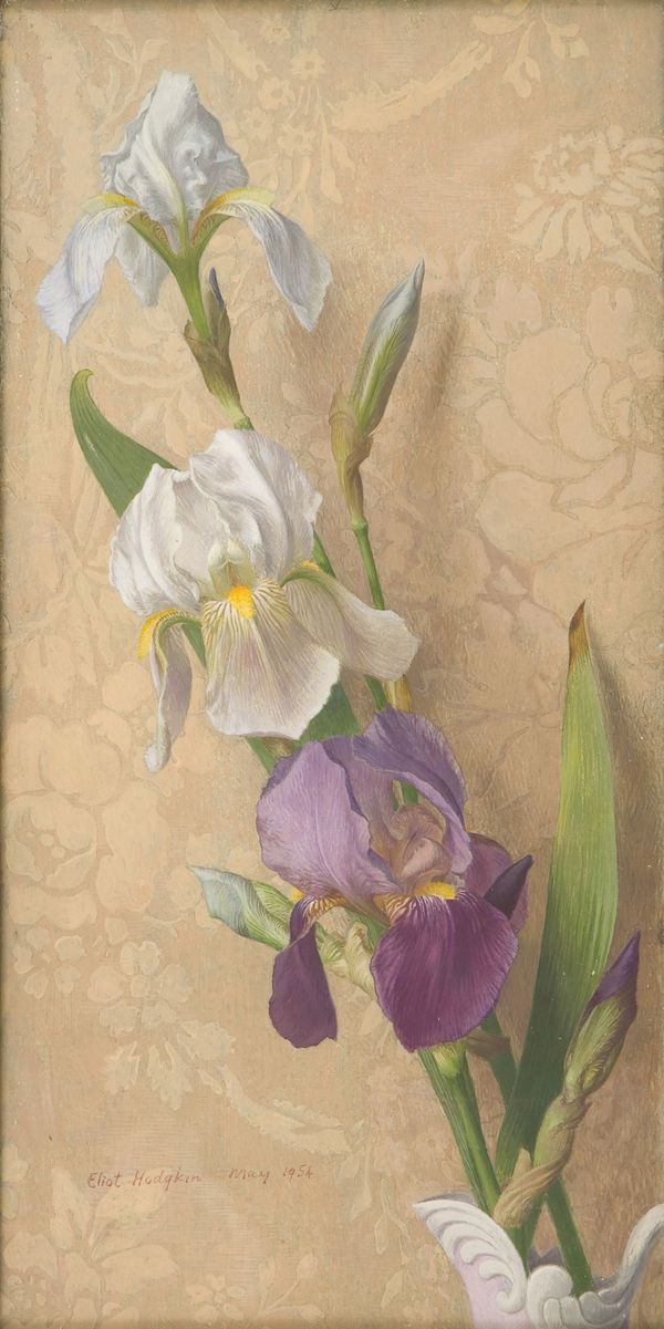 Eliot Hodgkin, Irises, 1954
