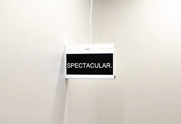 Elisabeth Pointon, SPECTACULAR, 2020