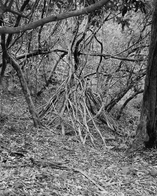 Harry Culy, Untitled (Shelter), Wellington, 2022