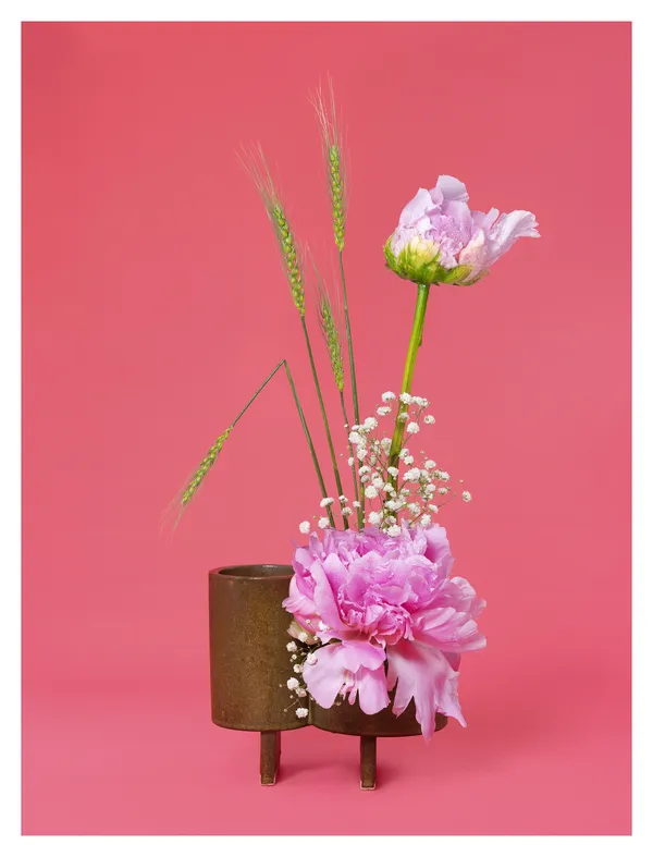 Ann Shelton, The Party Girl, Peony (Paeonia> sp.), 2020