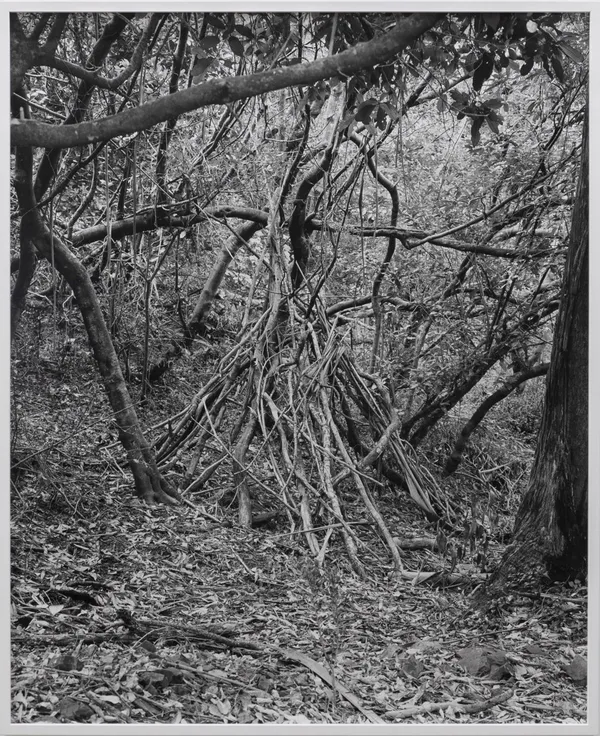 Harry Culy, Untitled (Shelter), Wellington, 2022