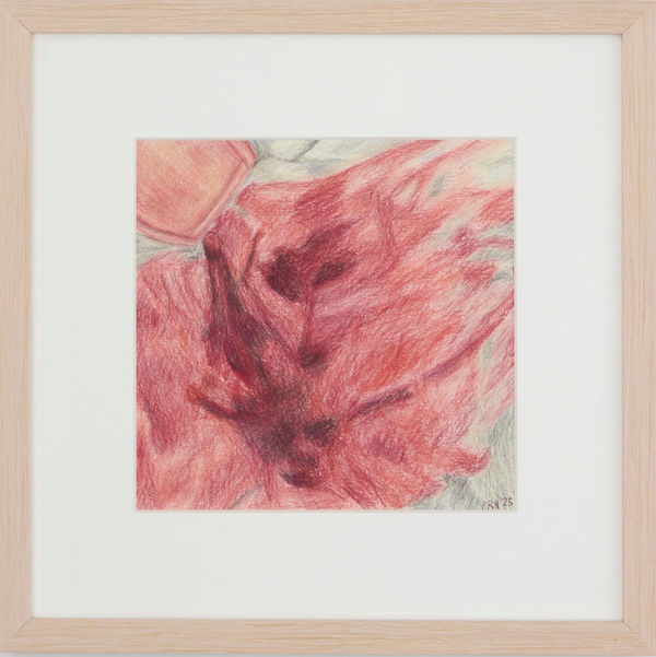 Priscilla Rose Howe, Congealed, 2025