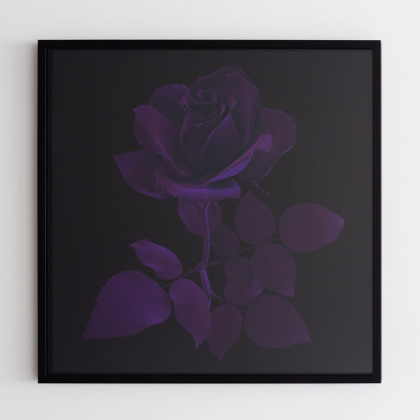 Hye Rim Lee, Purple Velvet Rose, 2023