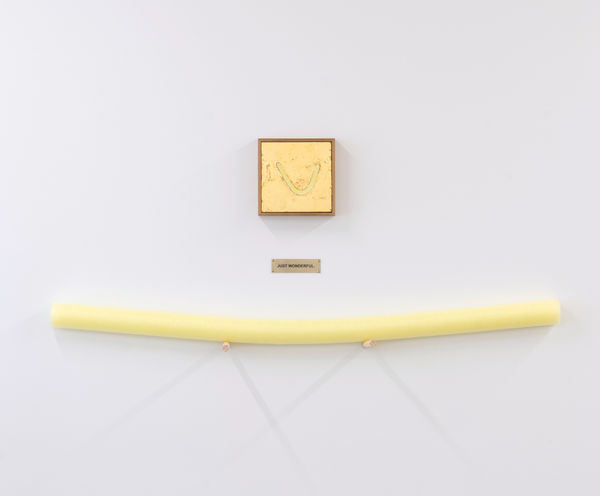 Elisabeth Pointon Portrait of Yellow Pool Noodle