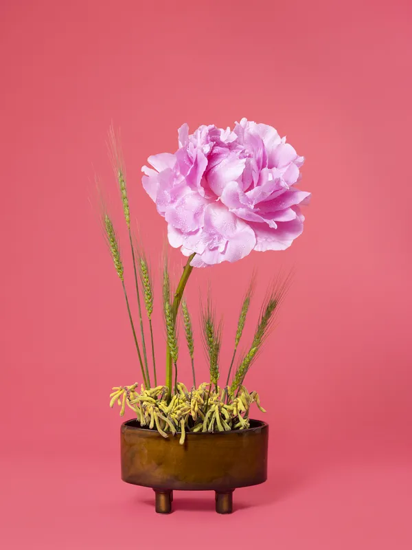 Ann Shelton, The Congress Woman, Peony (Paeonia sp.), 2020