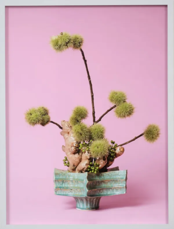 Ann Shelton, The Floozy, Ginger (Zingiber sp.), 2015