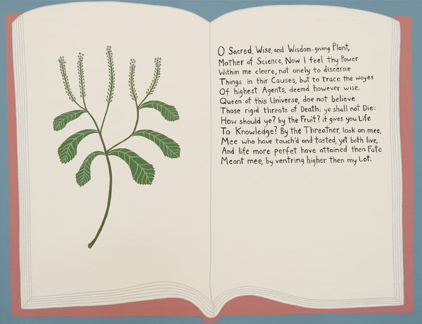 Jhana Millers Art Gallery Wellington Ayesha Green