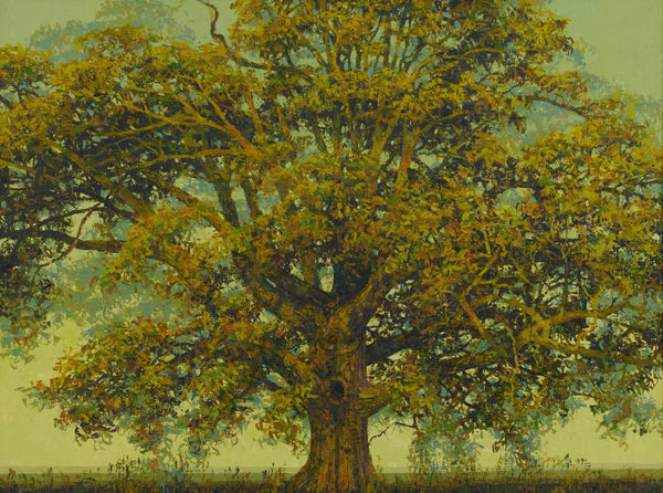 Francis Hamel, Autumn Oak, 2022