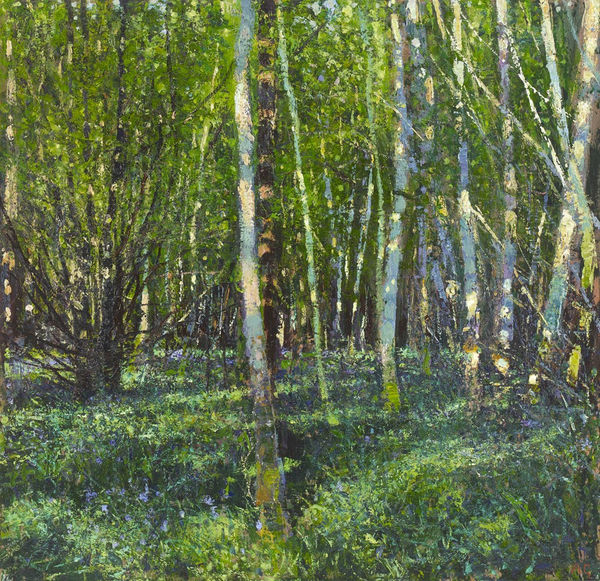 Andrew Gifford, Birch, Hornbeam, Sycamore & Bluebells, April 2020, 2020