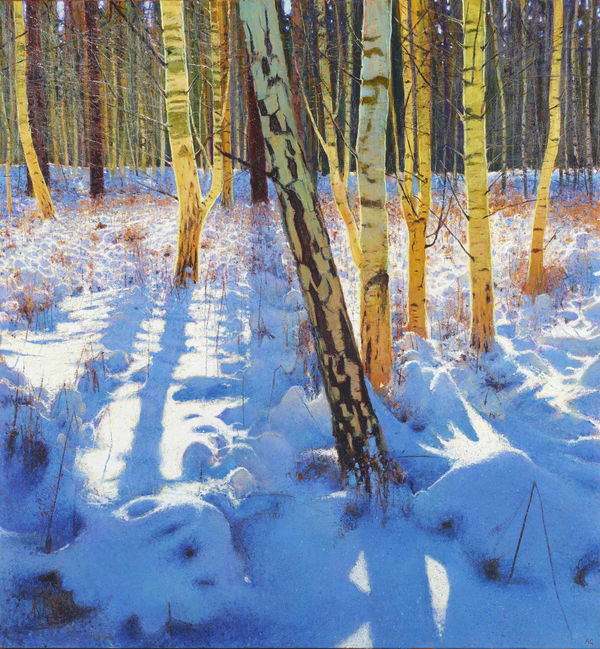 Andrew Gifford, Silver Birch Wood II, 2021