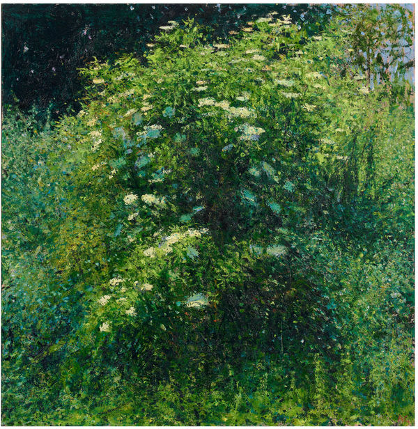 Andrew Gifford, Elder in Sheepcote Valley II, Sussex, 2022