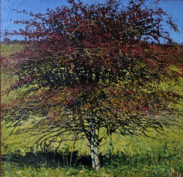 Andrew Gifford, Hawthorn Laden with Berries, Sussex Downs, 2018