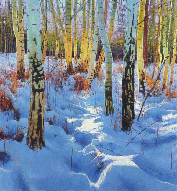 Andrew Gifford, 34. Silver Birch Wood I, 2021