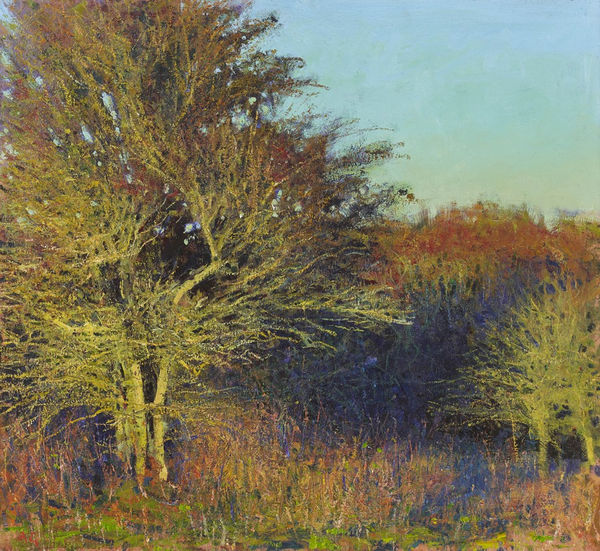Andrew Gifford, Hawthorns, Autumn, Last Light, October 2018, 2020