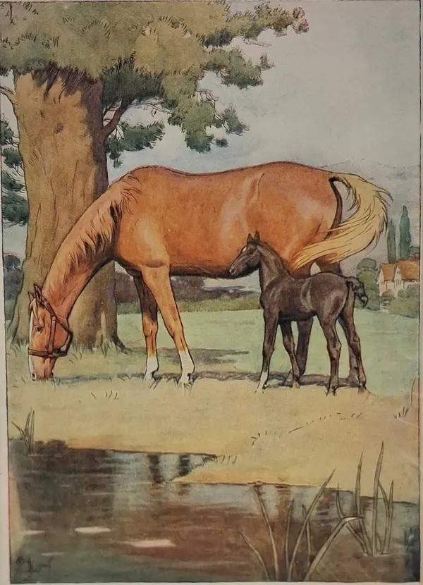 Stock Sale, Cecil Aldin: 'Black Beauty 1 (c.1910)'