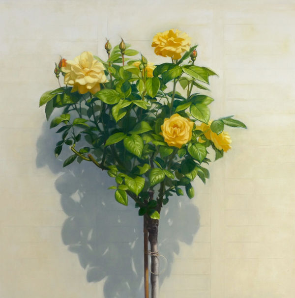 Raquel Alvarez Sardina MA SWA, Rose Bush