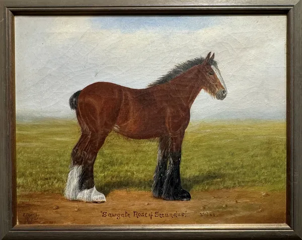 Stock Sale Fred Thurley (1865-1946): 'Sawgate Rose of Secundus' Oil on canvas (framed) Only available as part of the pair (£695 for both) 36 x 46cm Signed & dated 1919