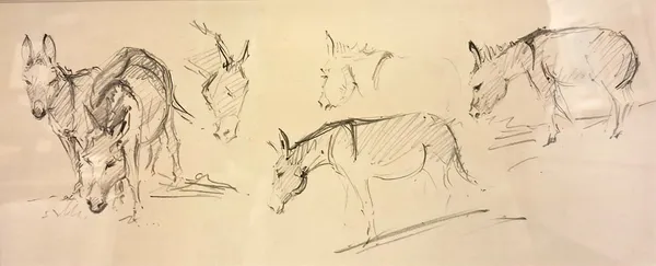 Stock Sale, Marjorie I Porter (Exhibited 1935-1940): 'Studies of Donkeys'