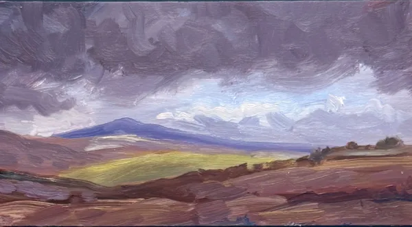 Stock Sale, David Lloyd Griffith (b.1956): 'Snowdonia Borders'