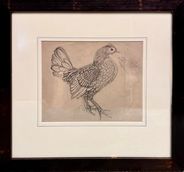 Stock Sale, Unattributed: 'Drawing of a Wyandotte Fowl