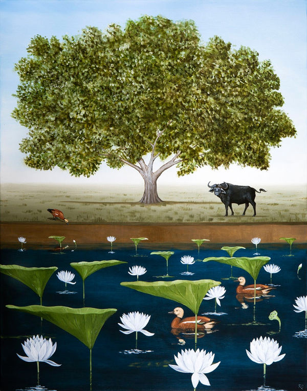 Rebecca Campbell, Enlightenment