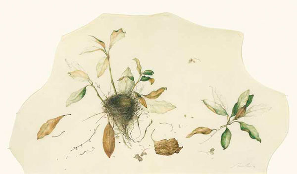 Kate Nessler, Nest in the Magnolia