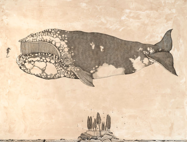 Andrea Collesano, TEMPUM, 2023