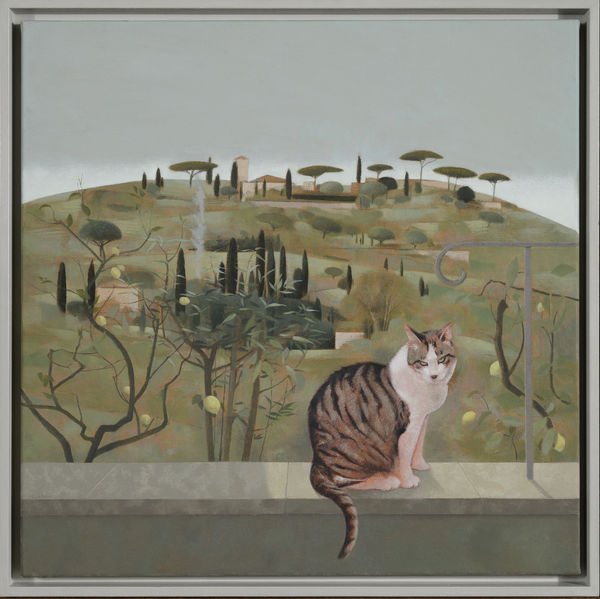 Tom Mabon, Hillside and Cat at Fiesole, 2020