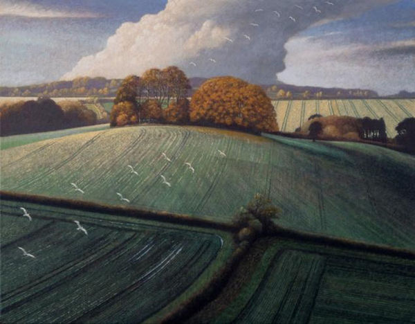 James Lynch, Seagulls, Brimble Lea Clump