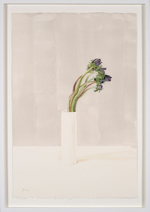 Janet Marsh, Anemone III, 2022