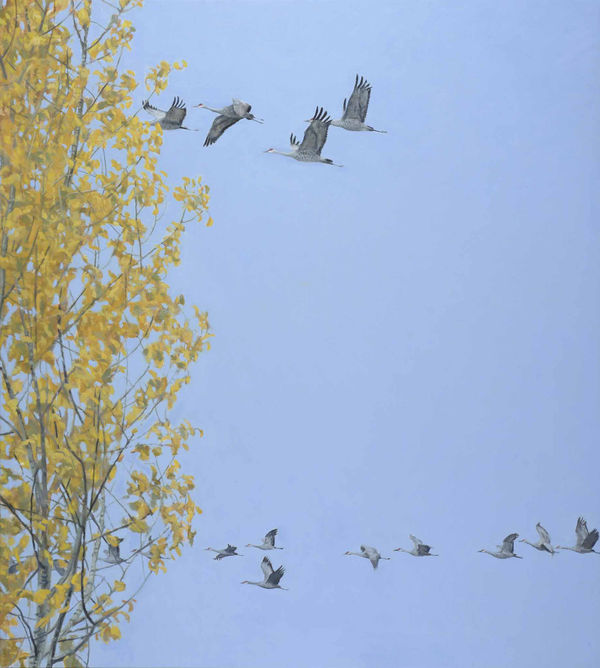 Ron Kingswood, Pilgrims