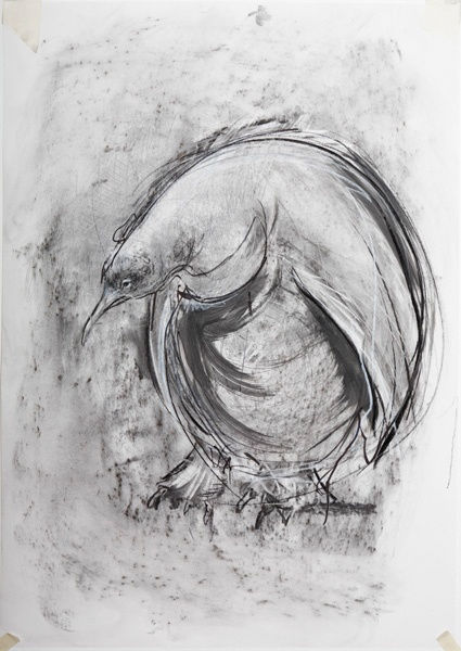 Tanya Brett, Baby Penguin II