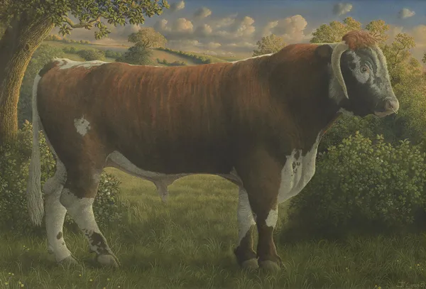 James Lynch, Thomas, the Long Horned Bull, 1989