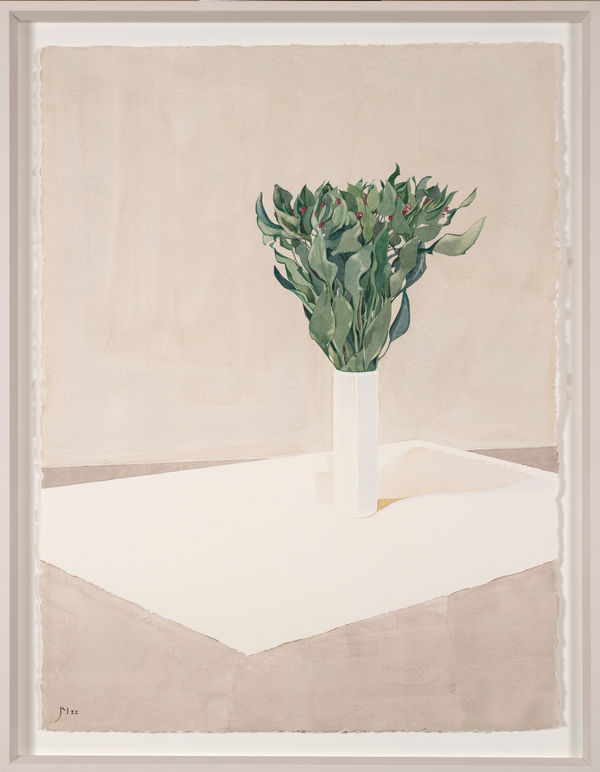 Janet Marsh, Alstroemeria, 2022