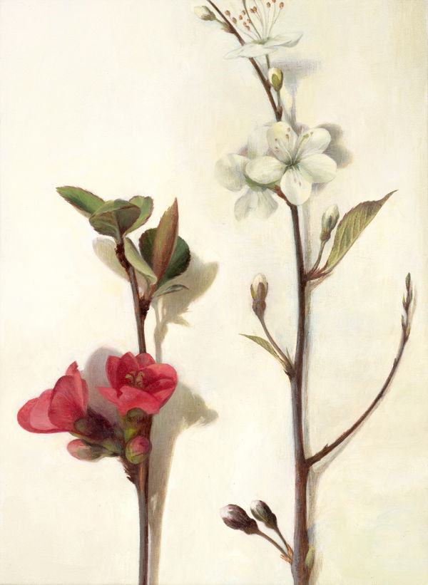 Susan Angharad Williams, A Relationship of Stems No.1, 2022