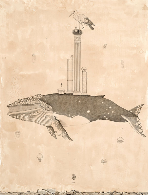 Andrea Collesano, TRANSIRE, 2023