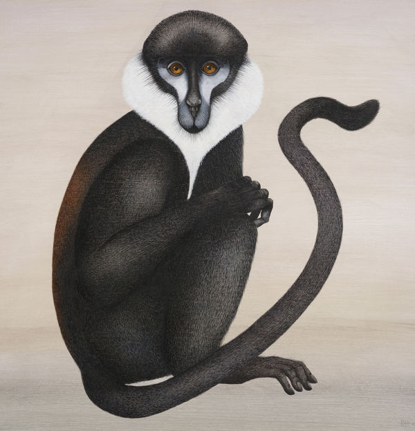 Harriet Bane, L'Hoest's Monkey