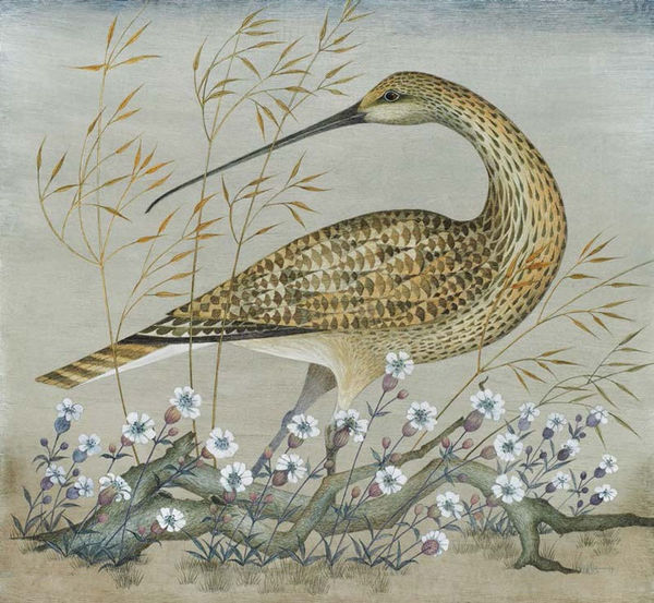 Harriet Bane, Curlew and Sea Campion