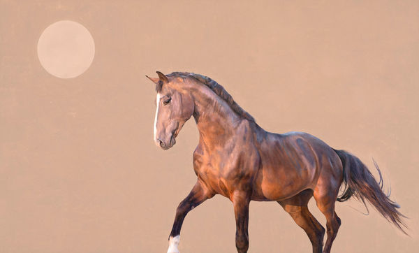 Joseph Black, Twilight Dance I, 2023