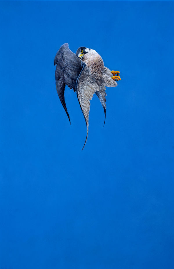 Tim Hayward, Suspended - Blue, 2023