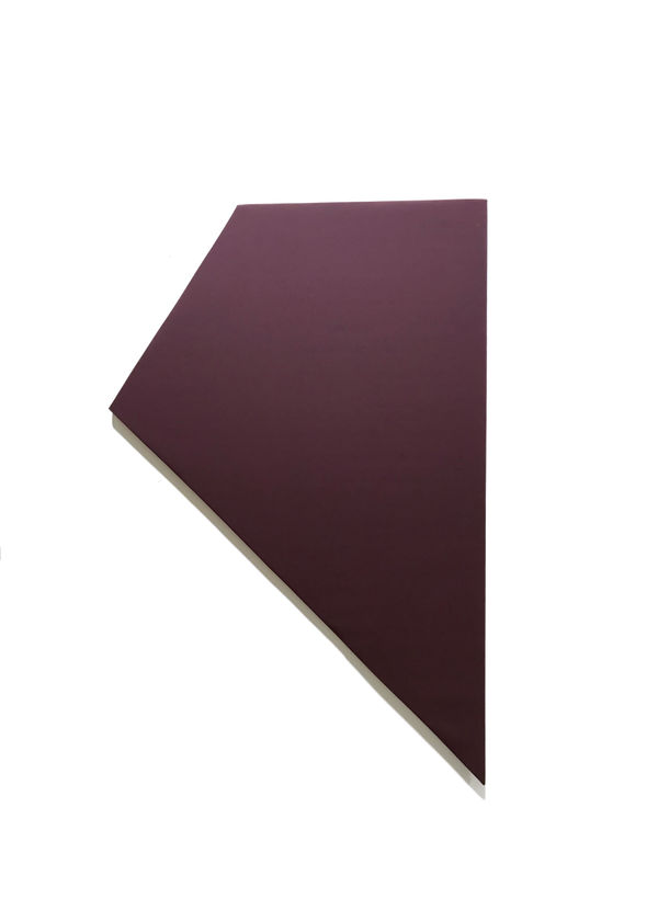 Joseph La Piana, Subfractal Relief Space Painting L, 2019