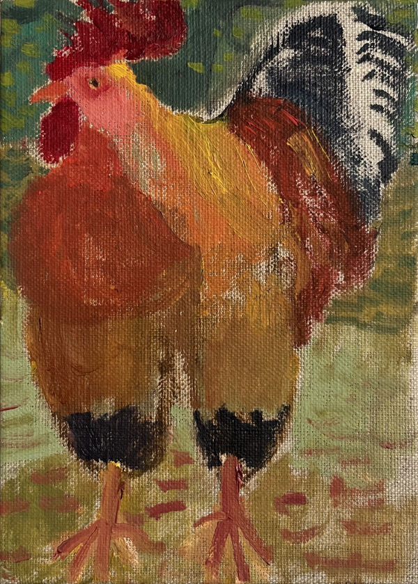 Zoe Savory - Cockerel