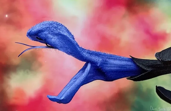 Clarence Long III, Eden's Serpent