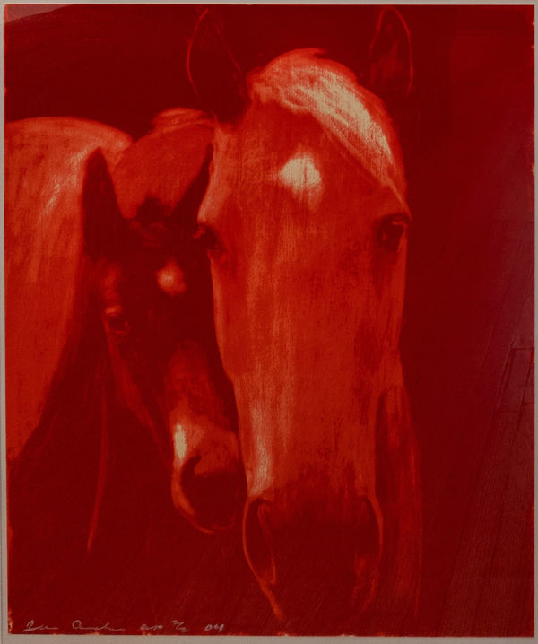 Joe Andoe, CHEROKEE VILLAGE (RED)