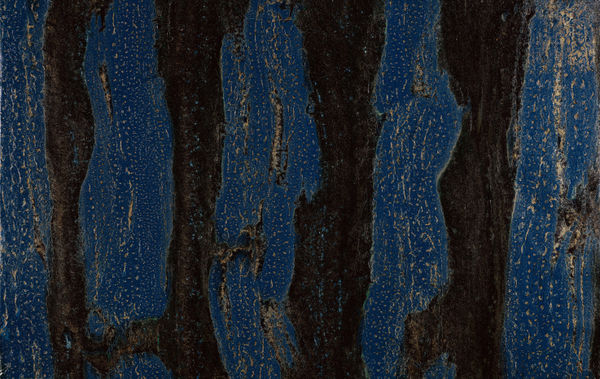 HD envoyée par Kalman Maklary le 19/01/2024