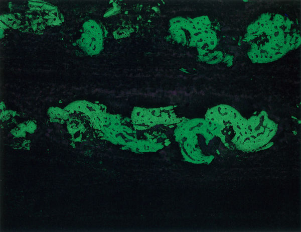 0876P_scanpubli_ExpoMucsarnok2023