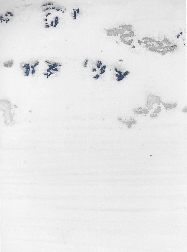 Judit Reigl, Déroulement, 1979