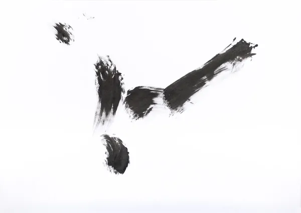 Photo András Bozsó_Envoi_Móra Ferenc Múzeum